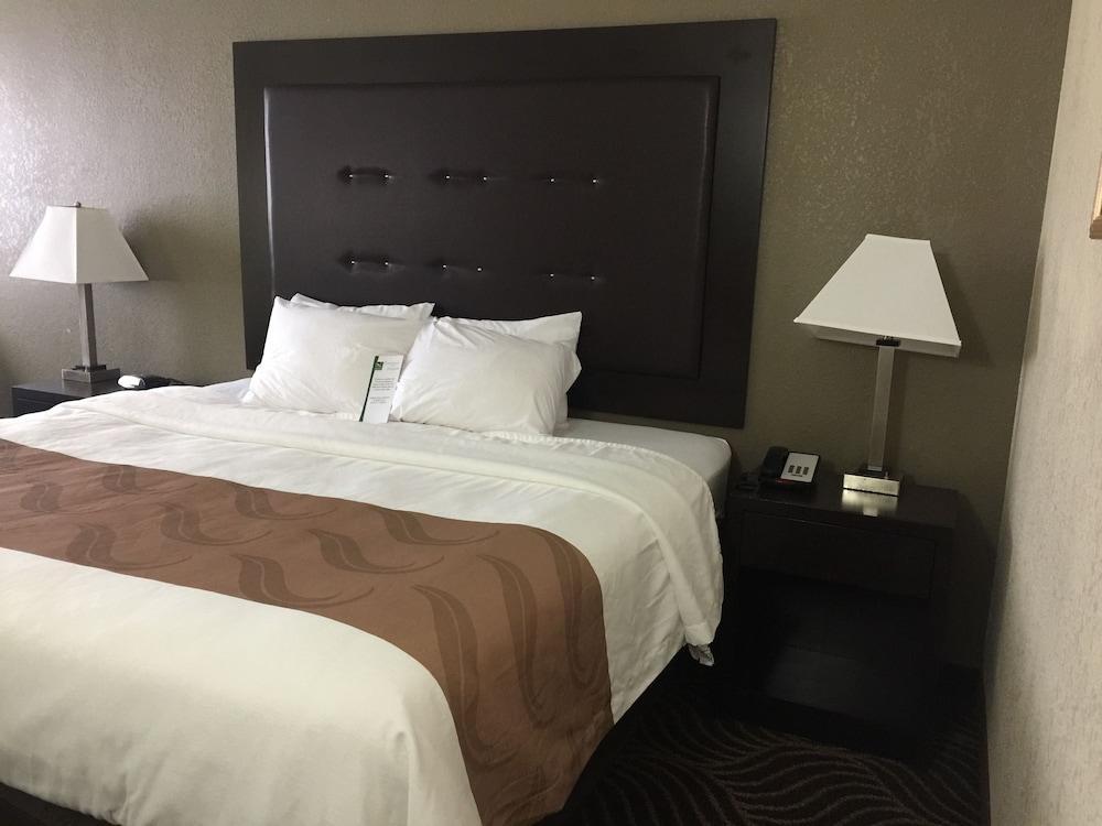 Quality Inn & Suites Florence - Cincinnati South Ngoại thất bức ảnh